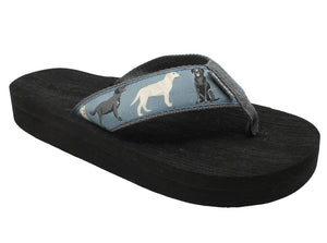 Labrador Retrievers-Tidewater Sandals