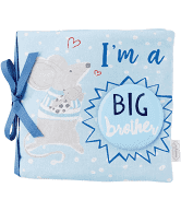 Big Brother Book